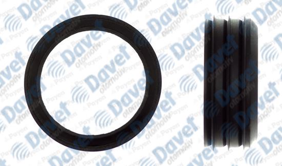 PAYEN RJD6006 Emme Manifold Govde Oringi Vw Passat-Caddy Iii - Golf V-Vi 1.6